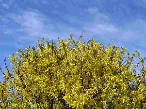 PICT1617 (Kopie) (Kopie)