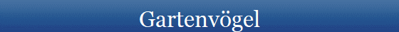 Gartenvgel