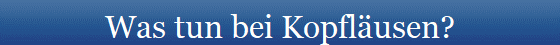 Was tun bei Kopflusen?